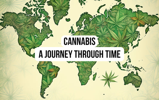 The Ancient Origins, global distribution and Cultivation of Cannabis: A Journey through Time.