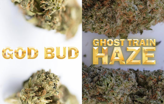 Double Strain Spotlight: God Bud & Ghost Train Haze