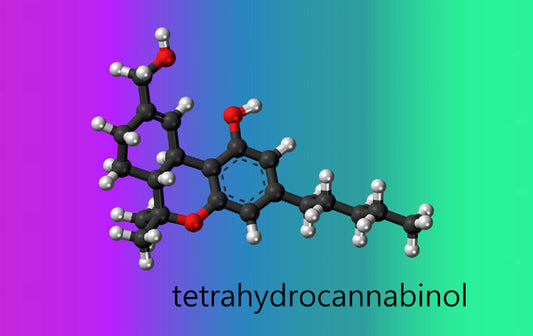 What are cannabinoids, and what do they do?
