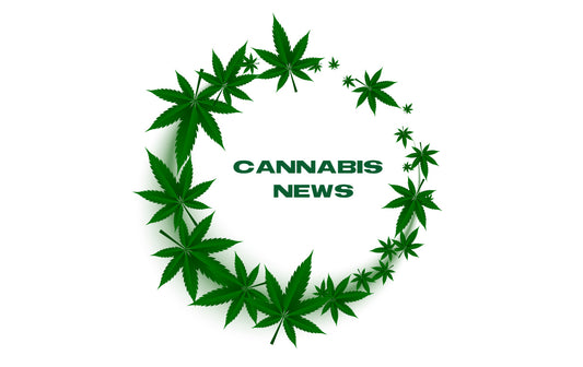 This Week in Cannabis News – 9/1/2022